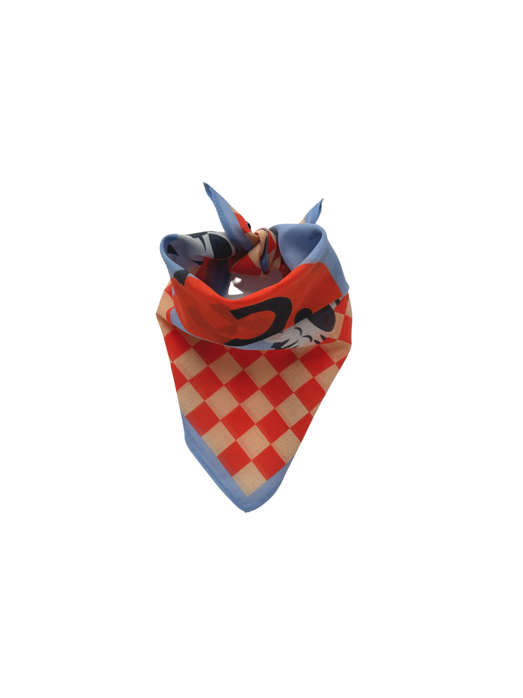 Kids Bandana - Zebra Parade. red