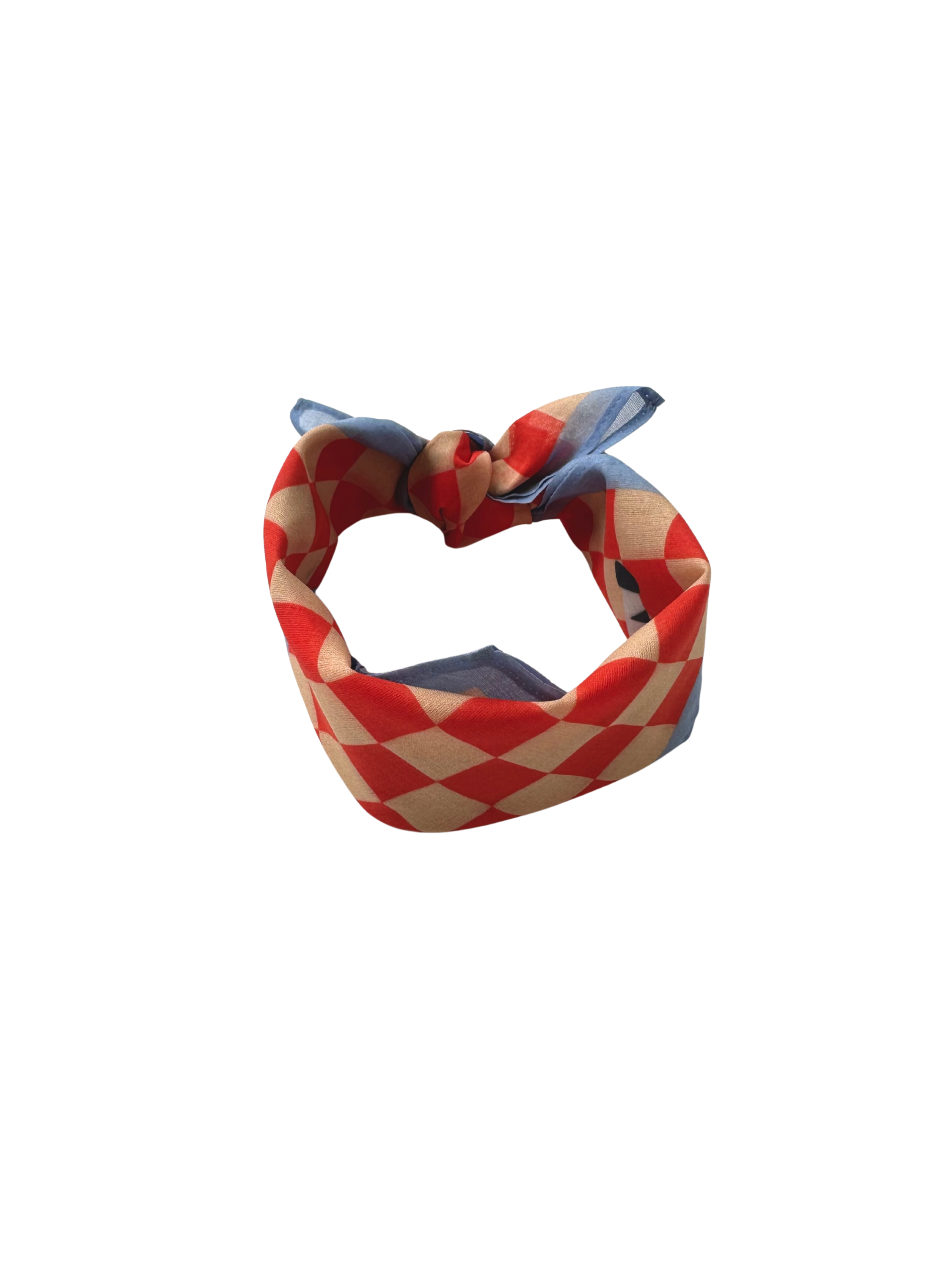 Kids Bandana - Zebra Parade. red