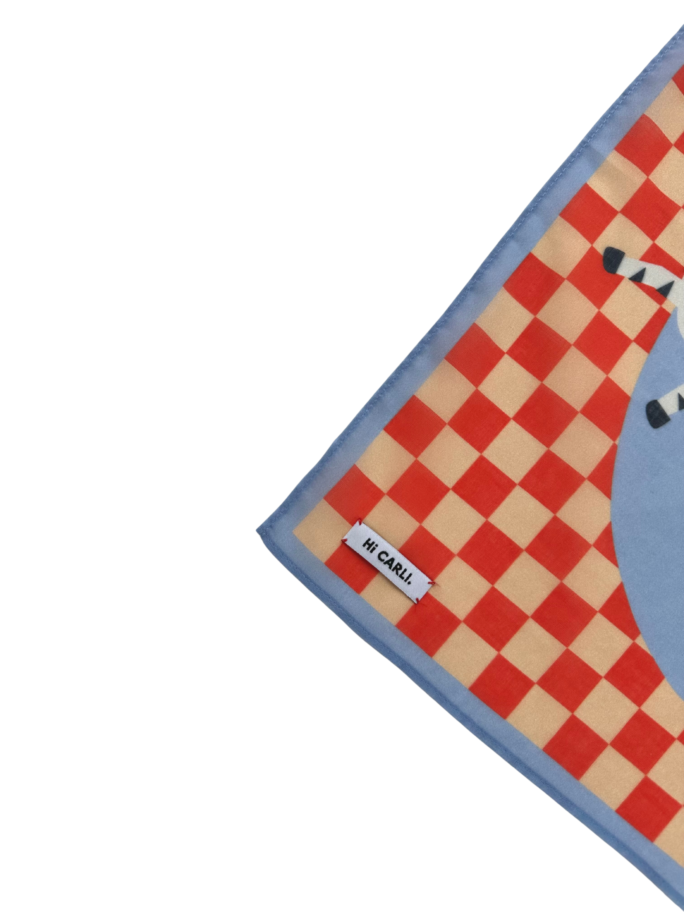 Kids Bandana - Zebra Parade. red